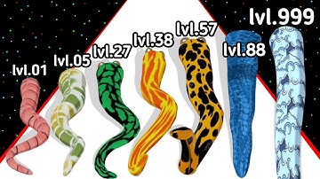 Snake Run Evolution Level Up Snake Max Level Gameplay (Updated Version) 2024