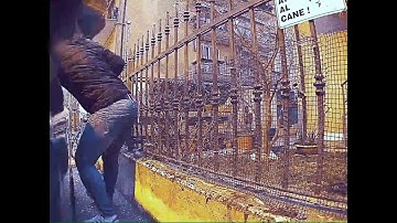 Italy, Tesla sentry camera catches thief in action