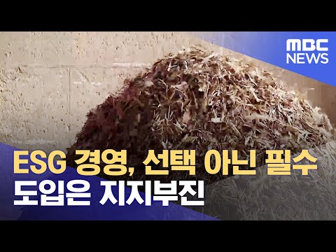 ESG 경영 선택 아닌 필수 도입은 지지부진 2023 09 08 뉴스데스크 전주MBC 