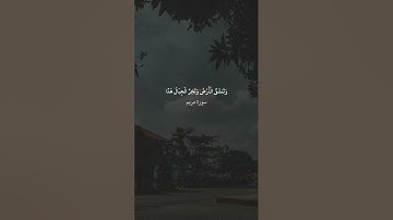 {وَقَالُواْ اتَّخَذَ الرَّحْمَـٰنُ وَلَدًا} سورة مريم [٨٨] محمد اللحيدان