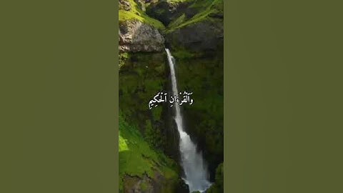 حالات واتس اب سوره يس الشيخ رعد محمد الكردي | دار السلام