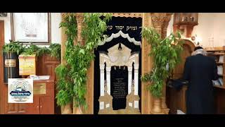 שבועות באומן - ההכנות לחג השבועות תש"פ בציון רבי נחמן מברסלב באומן