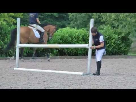 Structure your showjumping warmup – Tom Davison