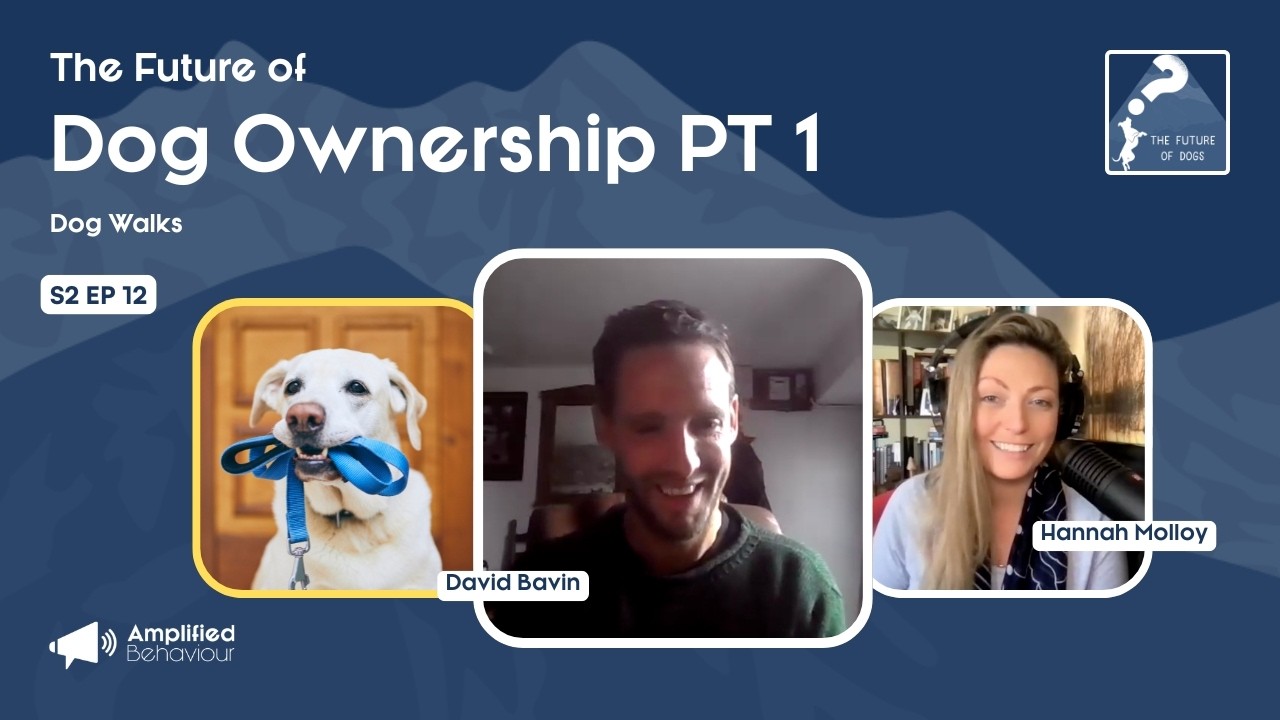 Episode 32: The Future of Dog Ownership Part 1 - Dog walks with David ...