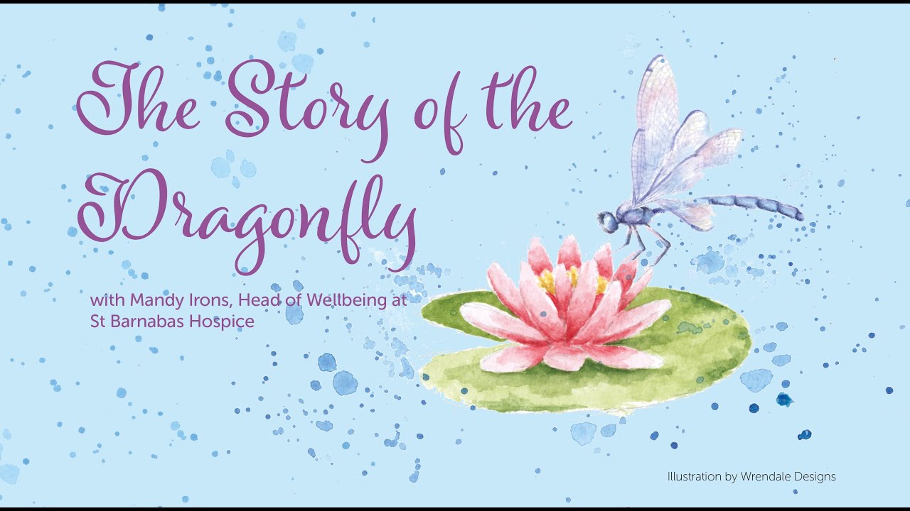 Storytime with Mandy Irons | The Dragonfly Story | St Barnabas Hospice ...