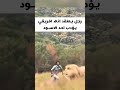 رجل يعتقد انه افريقي يؤدب احد الاسود في الغابة Shorts رجل يعتقد انه افريقي يؤدب احد الاسود في الغابة Shorts