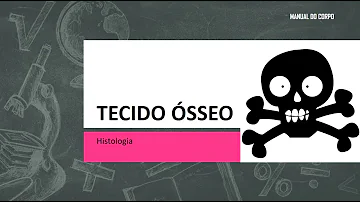 Qual a função do Osteon?