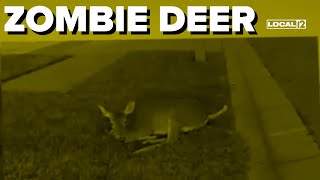 13 Ohio counties now confirming cases of "zombie deer"