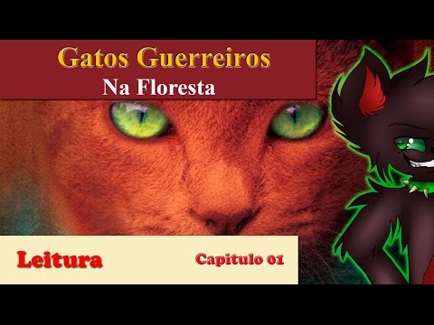 Gatos guerreiros - Na floresta: 1