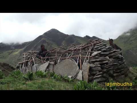 religious shepherd || sheep farm || nepali shepherd ||