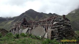 Religious Shepherd Sheep Farm Nepali Shepherd