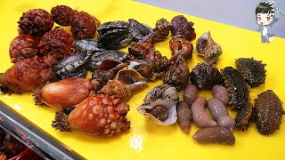 KOREAN STREET FOOD ASSORTED SEAFOOD SASHIMI KOREA SEAFOOD MARKET 포항 송도 활어회센터 모듬해물 310521