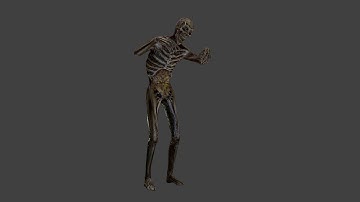 Skeleton [Unity Asset Store]
