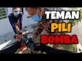 APA BEZA WARNA MERAH DAN WARNA KUNING? | TEMAN PILI BOMBA | CEELORENG BOMBA