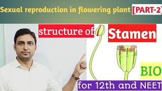 Sexual reproduction in flowering plant[PART-2]  STRUCTURE OF STAMEN|#Bioveda classz