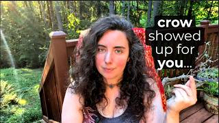 a crow flew over as this message came through [what your life is asking of you now]