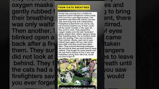 Firefighters Revived Four Cats After Apartment Fire #Shorts #CatRescue