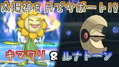 キマワリ