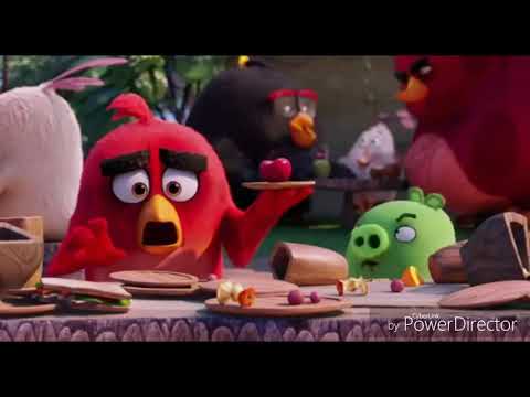 The Angry Birds Movie All Terence Scenes