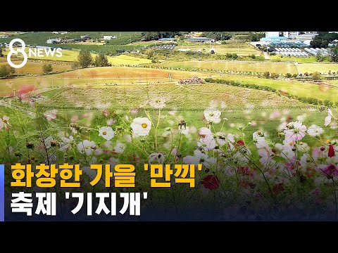 산길 따라 꽃길 따라 깊어지는 가을 모습…축제 '기지개' / SBS