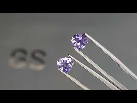 Pair of tanzanites heart shape 2.67carats, Tanzania Video  № 1