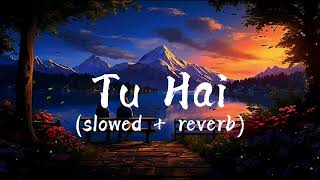 Tu Hai 🥰🥰 Lofi 🎧🎧 (Lyrics) (slowed + reverb) | Darshan Raval | Neha Sharma ||