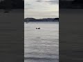 Hobby King Catalina. smooth landing !