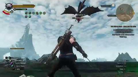 The Witcher 3 Death March No Damage {part 40}