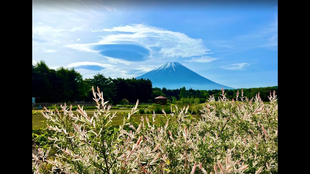 ④梅＆富士山【Fuji*happiness】お正月 シーグラス 富士山グラス