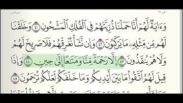 سورة ياسين بصوت خاشع للشيخ هاني عبدالرحمان الرفاعي