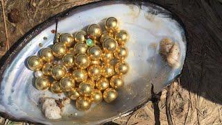 Zhenhe clam found a bunch of golden pearls.