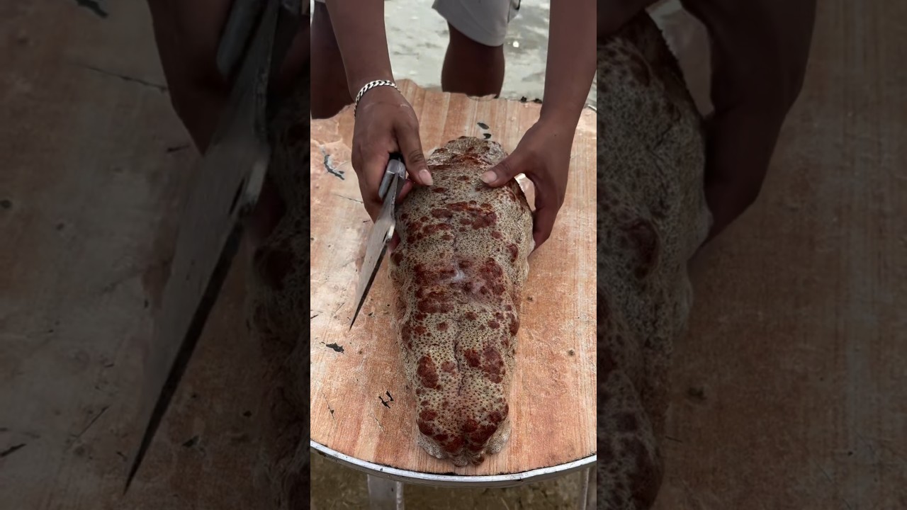 big sea cucumber 🥒