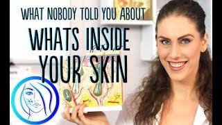 WHAT ARE THE LAYERS OF THE SKIN AND HOW DO THEY WORK -- SKIN SCIENCE Episode 2