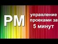 Методы управления проектами за 5 минут (Живая записть)