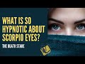 Scorpio Hypnotic eyes