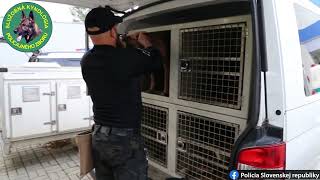Psovod Miro a jeho policajné psy (1.)