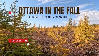 Ottawa in the Fall is Unbelievable