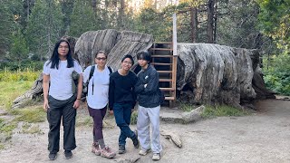 Big Stump Trail, Kings Canyon