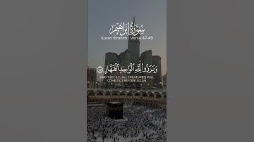 #تلاوة_خاشعة