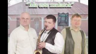 Szatmári Dáridó-Ott,ahol zúg az a négy folyó