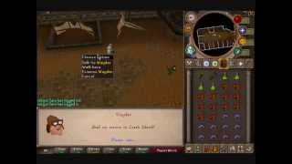 Runescape Gorilla Guard Guide
