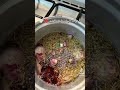 اجواء بنات الجزائر ليلة عيد الفطر المبارك اعاده الله علينا وعليكم بالخير واليمن والبركات 