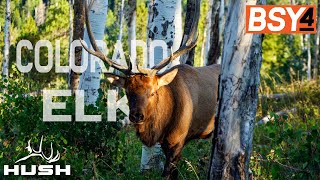 COLORADO ARCHERY ELK | CALLED HIM INTO 5 YARDS screenshot 3