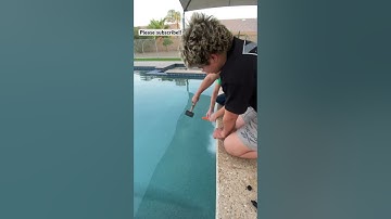 3d printed CO2 rocket test trial #1 #3dprinting #rocket #co2 #cool #shorts