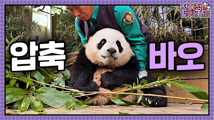 [Omniscient Grandpa Viewpoint] ep.204 Morning Puffy Hui & Round-and-Flat Rui and LeBao's Snow Dance!