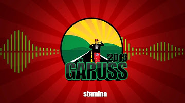 GÅRUSS 2013 -  Kenneth Compute