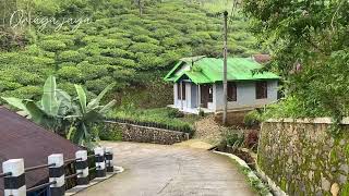 Rural Indonesia walk romantic atmosphere in village | ASMR Indonesia | Oriaga Jaya