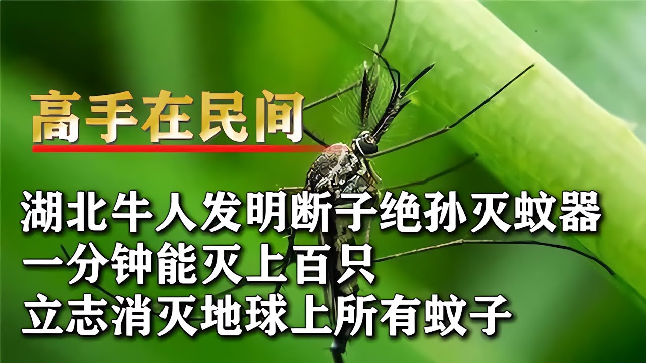 湖北牛人創造斷子絕孫滅蚊器,一分鐘能滅上百只,誓要消滅全球所有蚊子! #钉子户 #银行纠纷 #交通事故 #蛮横行为 #盗窃银行 - YouTube