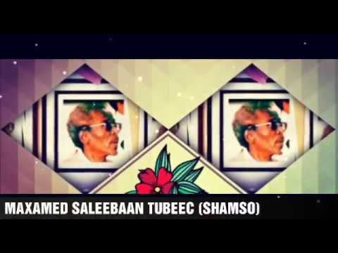 MAXAMED SALEEBAAN TUBEEC HEESTA SHAMSO