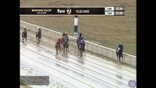 Luminaire Runs Third at Mahoning Valley